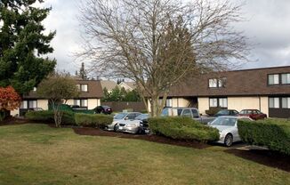 Mountain View Apartments