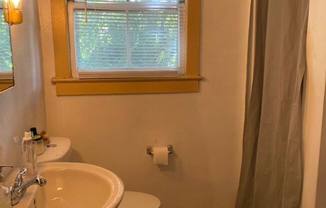 1 bed, 1 bath, $950, Unit 2