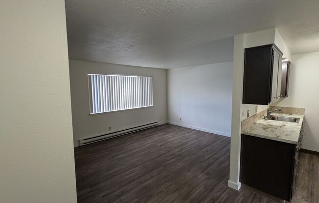 1 bed, 1 bath, $1,050, Unit Anita 3566