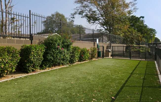 A fenced yard with green grass and bushes.