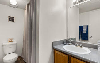 a bathroom with a toilet sink and mirror