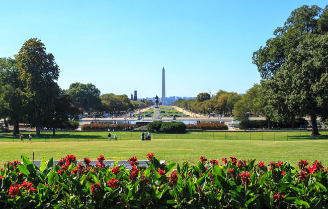 a view of the monument from the national mall dc