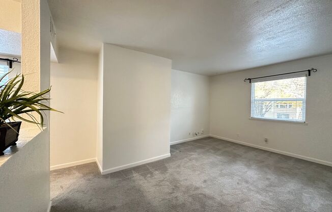 1 bed, 1 bath, $1,695, Unit 4