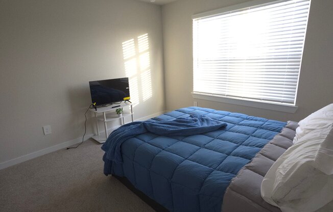 2502 SERRANO PLNS TRL