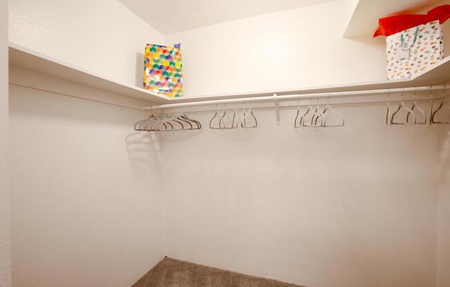 Walk in Closet at The View at Catalina Apartments in Tucson Arizona