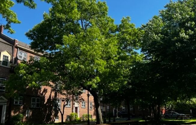 Studio, 1 bath, 358 sqft, $1,000, Unit WS709A