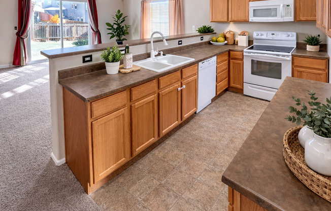 3 Bedroom Home in Painted Sky!