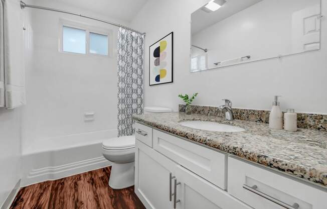 a bathroom with a sink and a toilet