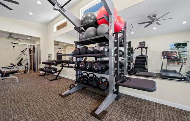 a gym with weights and other exercise equipment at the enclave at woodbridge apartments in sugar land