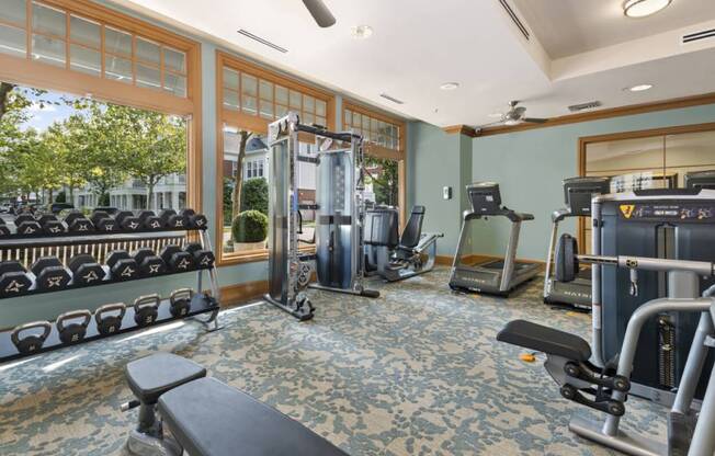 the gym is equipped with cardio equipment and weights