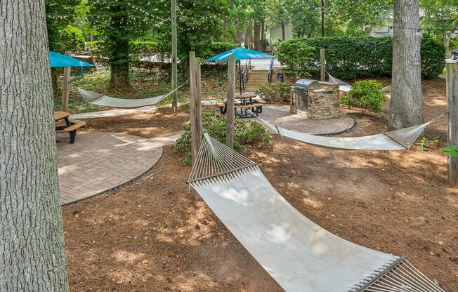 a group of hammocks hanging in a wooded park