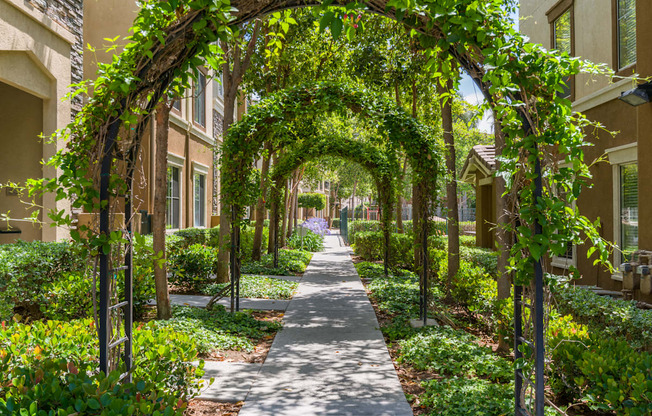 A pathway is flanked by plants and trees in a residential area.