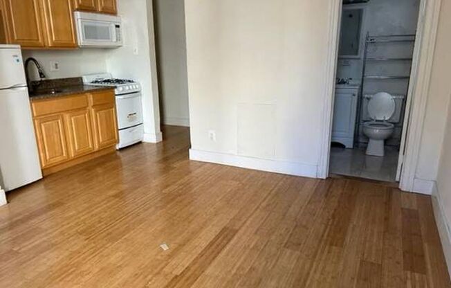 Studio, 1 bath, 300 sqft, $990, Unit 3412 Spring Partners LP-2A
