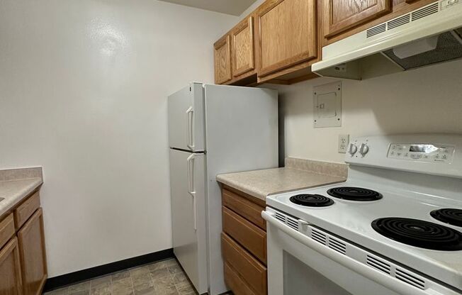 1 bed, 1 bath, $1,250, Unit 7