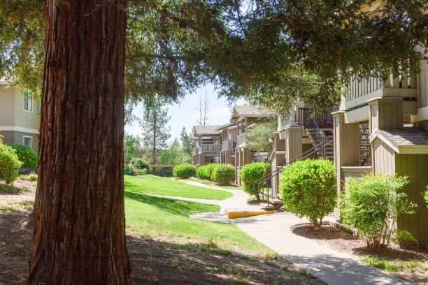 Green Spaces With Mature Trees at Bent Tree Apartments, Sacramento, California