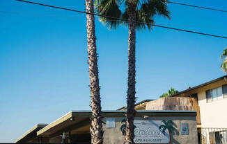 Palms of La Mesa