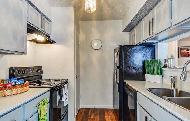 Modern Austin Apartment
