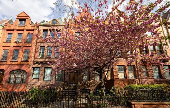 329 CONVENT AVE