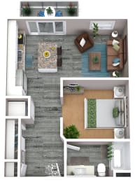 Studio, 1 bath, 513 sqft, $1,568