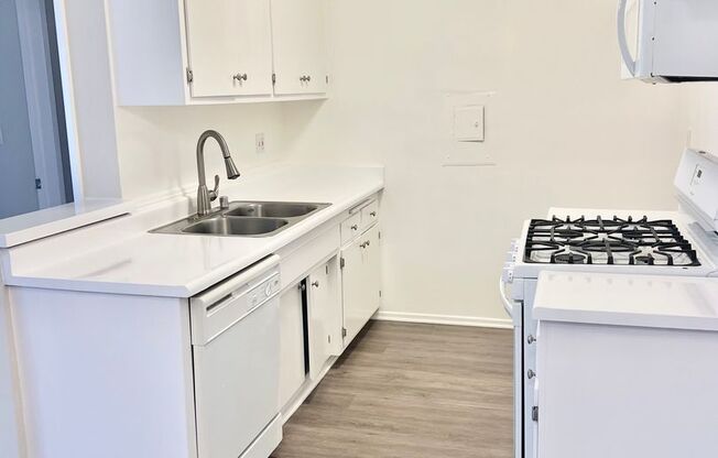 1 bed, 1 bath, 648 sqft, $1,995, Unit 205