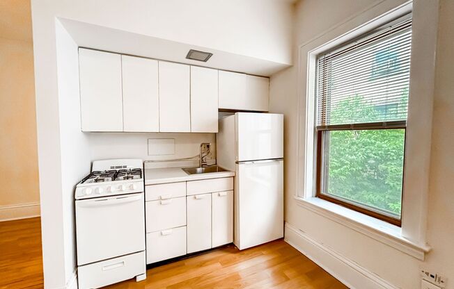 Studio, 1 bath, 325 sqft, $905, Unit 204