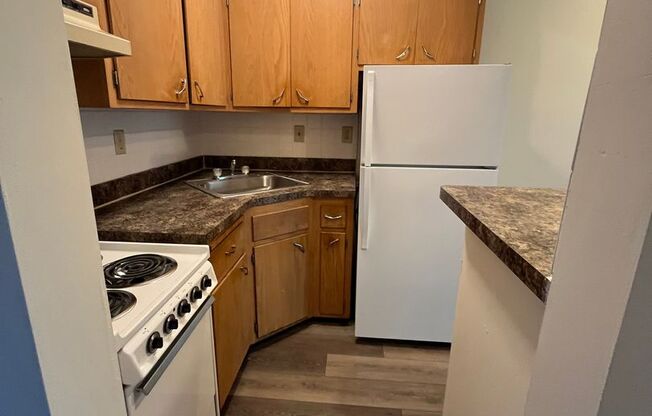 Cozy 1 Bedroom Apartment