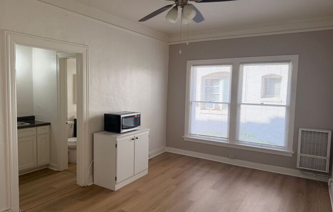 Studio, 1 bath, 275 sqft, $1,245, Unit 42