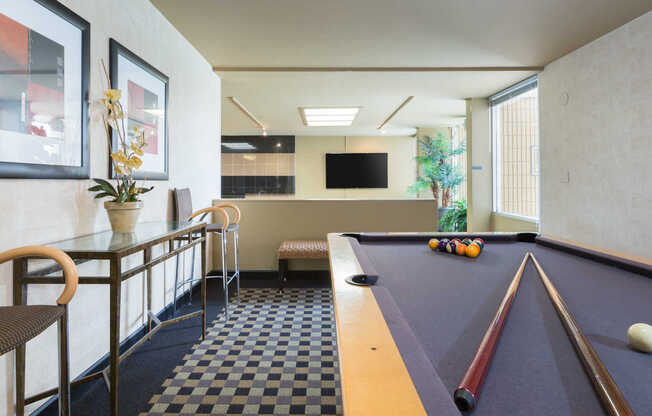 Lounge with Pool Table