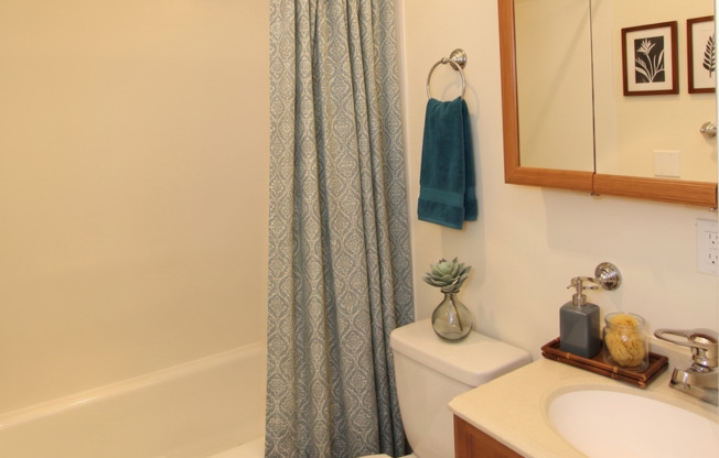 Studio, 1 bath, 300 sqft, $1,245, Unit C-303