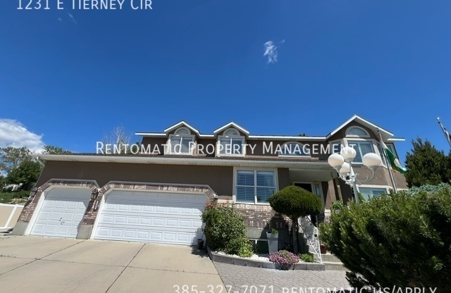 1231 E TIERNEY CIR