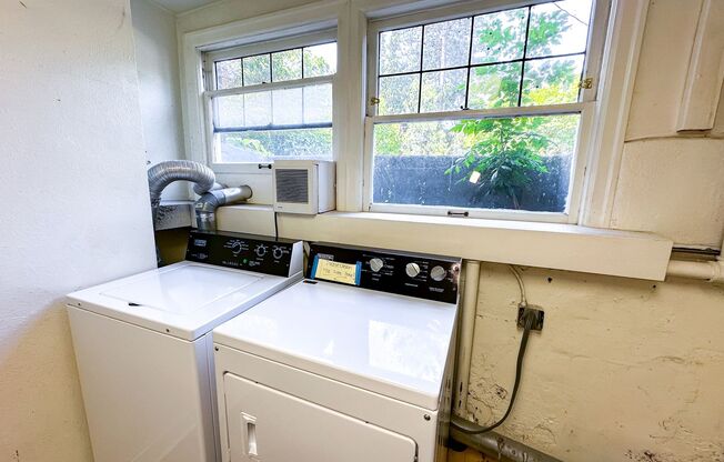 Studio, 1 bath, 500 sqft, $1,595, Unit B