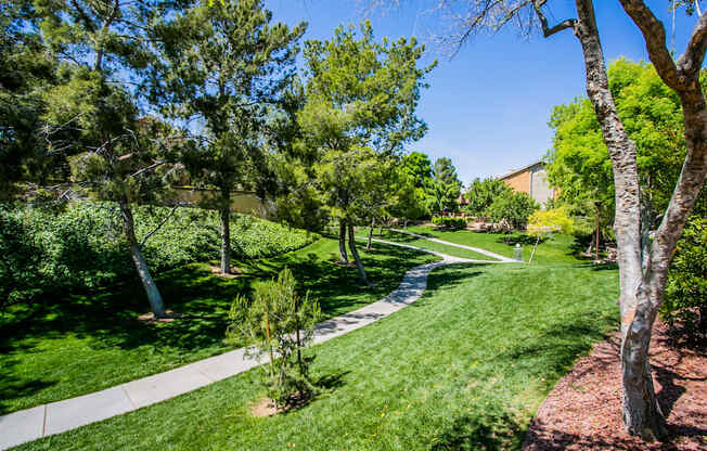 A tree-lined pathway in a sunny park.