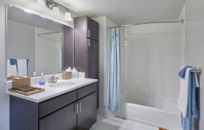 Bright Bathroom at 15 Bank Apartments, White Plains, NY