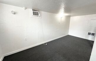 Studio, 1 bath, 235 sqft, $700