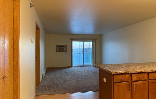 1 bed, 1 bath, 771 sqft, $975