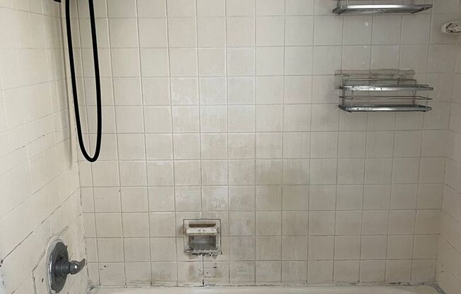 Downtown Orlando 1/1