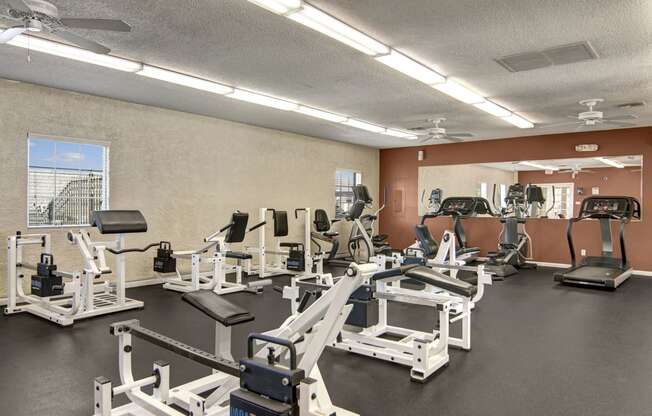 Motif Gym