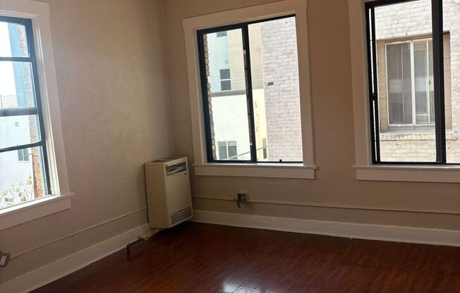 Studio, 1 bath, $1,250, Unit #309