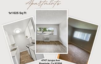 Jurupa Royale Apts