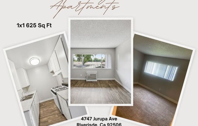 Jurupa Royale Apts