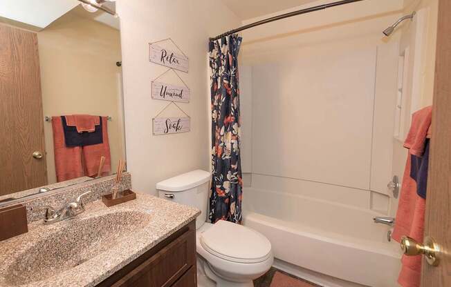 Model hallway bathroom with a toilet, sink, and a shower curtain at Pheasant Pointe Apartments, California, 95833