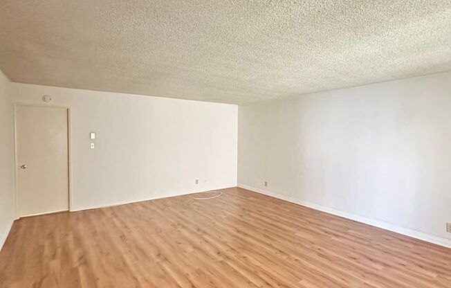 2041 San Anseline