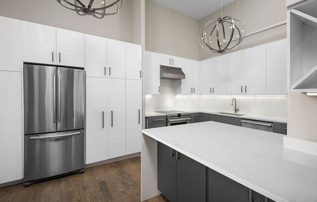 777 South State Penthouse Kitchen