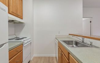 Studio, 1 bath, 360 sqft, $1,188, Unit 205