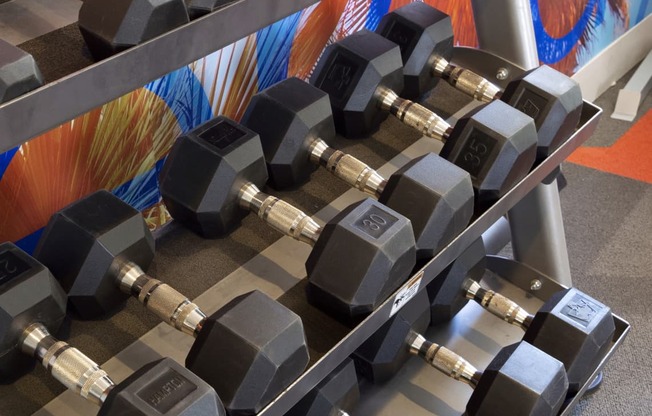 a row of dumbbells in a gym at The Julia, Mesa, AZ 85210