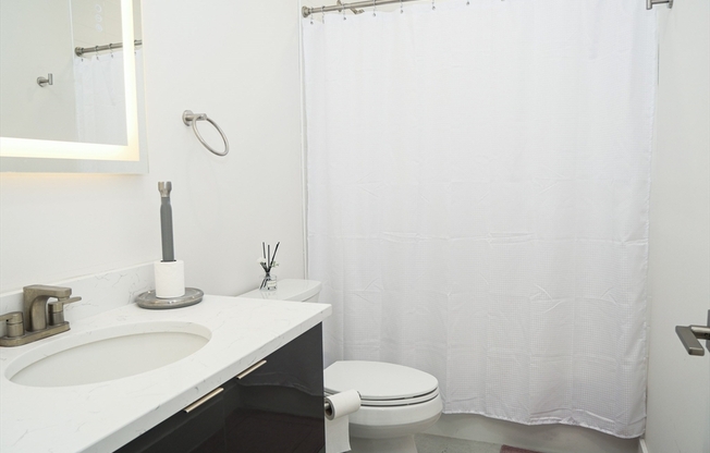 Studio, 1 bath, 450 sqft, $2,530, Unit 202