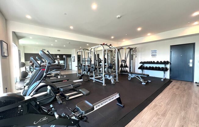 1 bed, 1 bath, 621 sqft, $3,250, Unit 206