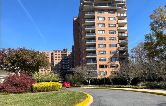 Lovely 1 BR/1 BA Condo in Wesley Heights!