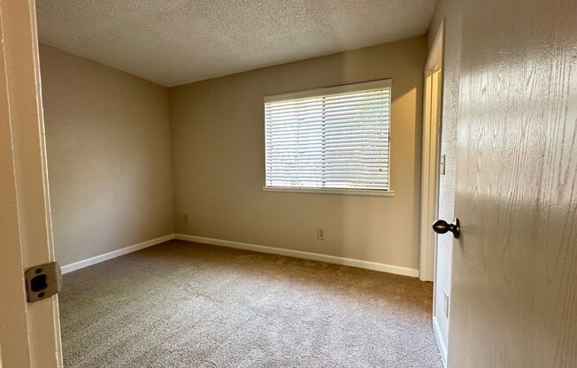 1 bed, 1 bath, $1,325, Unit 35