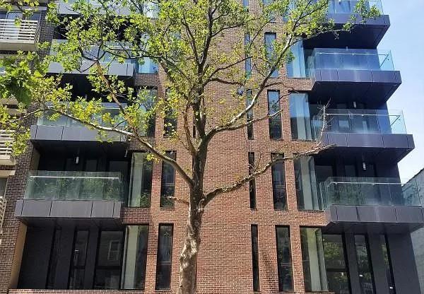 1 bed, 1 bath, 565 sqft, $3,154, Unit 3C